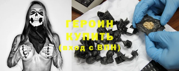 дживик Бородино
