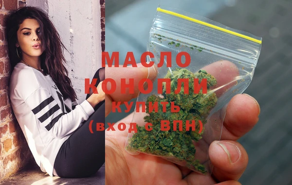 дживик Бородино