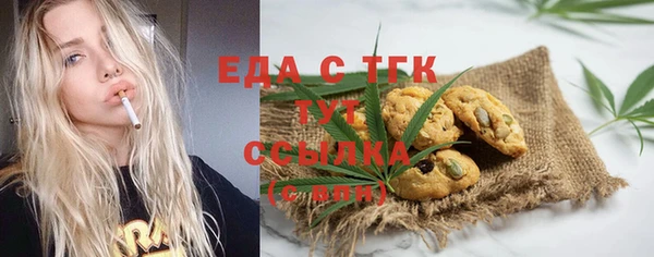 дживик Бородино